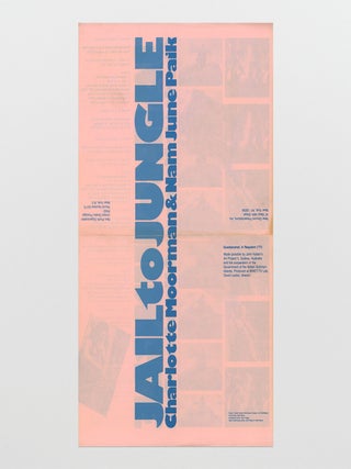 Jail to Jungle: Charlotte Moorman & Nam June Paik