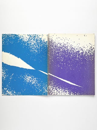 buch 8 lilli